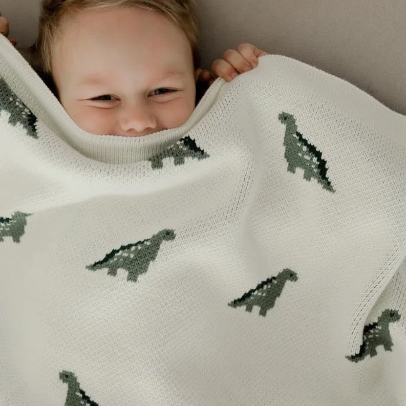 Cozy Mini Dino Blanket