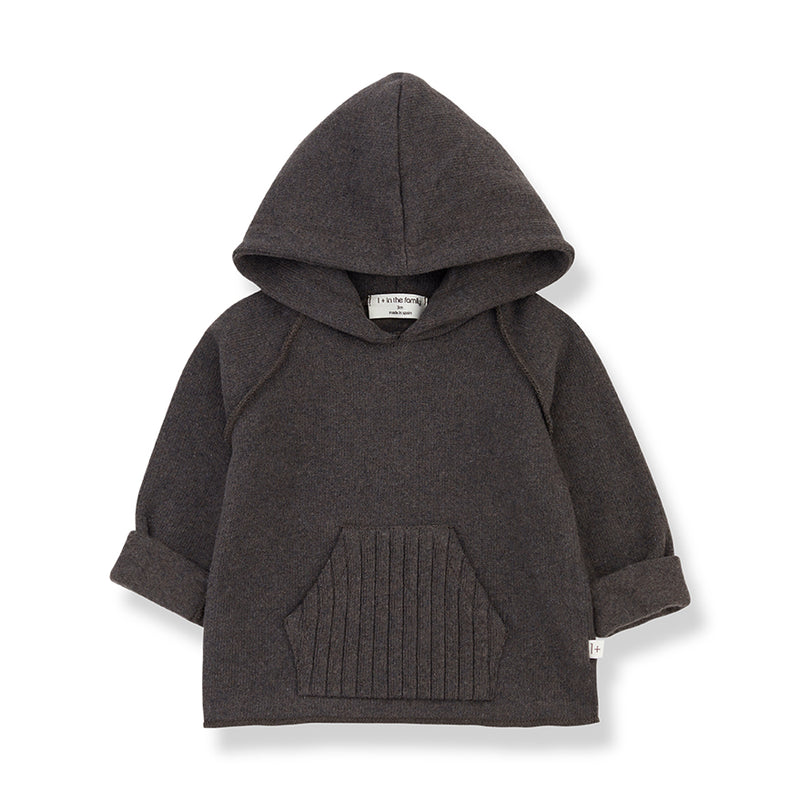 +1 in the family -Warm Hooded Sweater